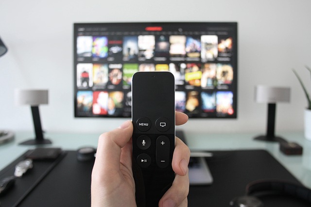 Tag ud Ansigt opad Identificere How to Get Web Browser on Apple TV 4 And Apple TV 4K - TechWiser