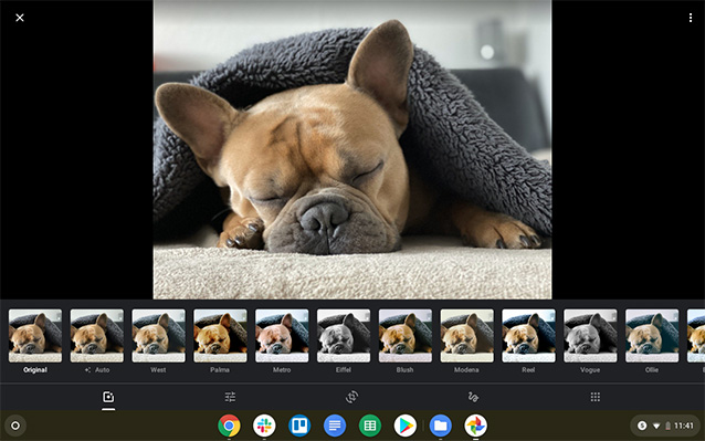 screenshot of dog sleeping in Google Photos