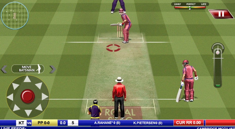 real cricket gameplay