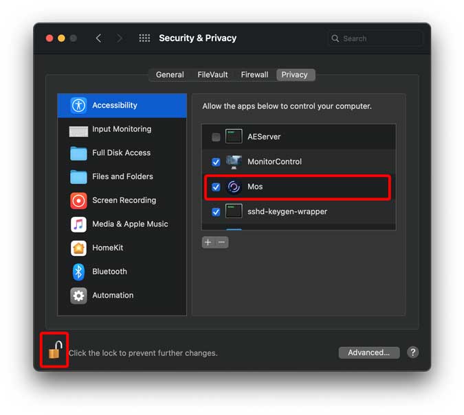 enable accessibility settings for mos