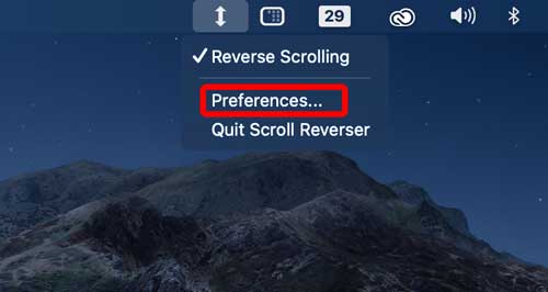 preferences for scroll reverser