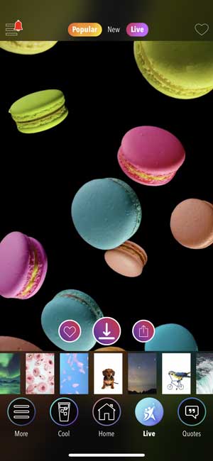 kappboom app that sets live wallpaper on iPhone