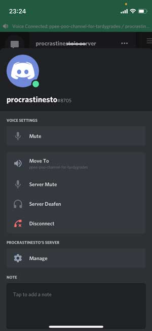 audio chats on Discord