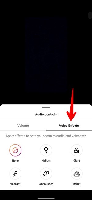 Instagram Reel Audio Voice Effects