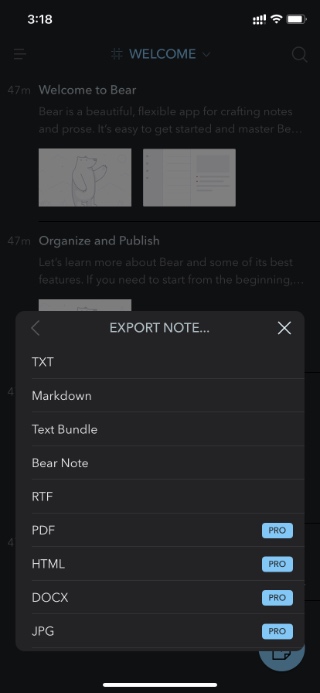 bear notes export options