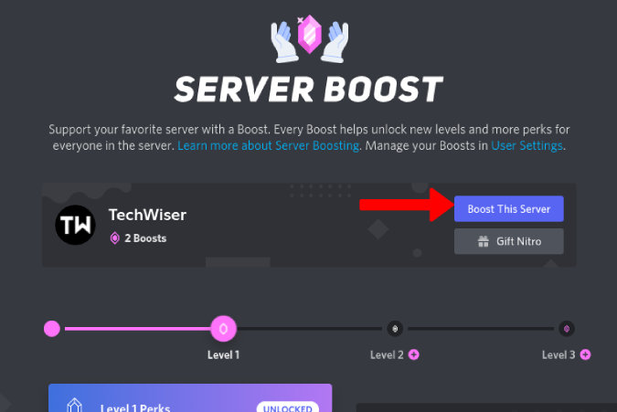Boosting Discord Server