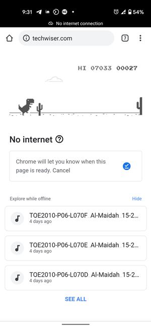 Google Chrome Dino Game With Internet