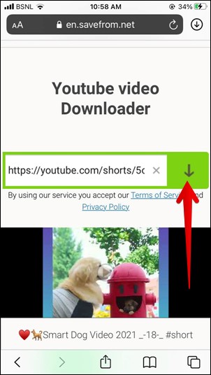 YouTube Shorts Download Video Website