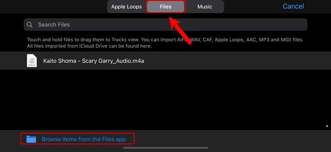 browse MP3 files in the Files app