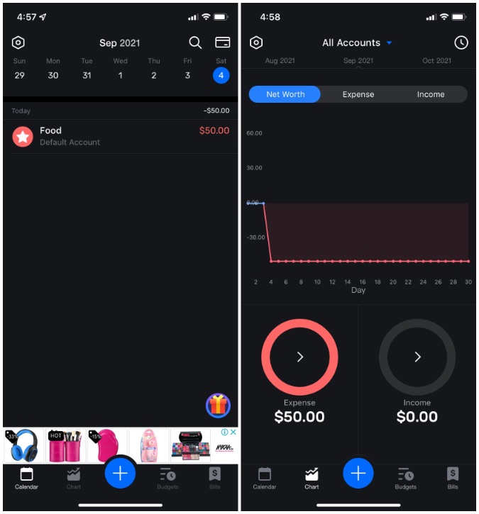 pocket expense app for iPhone
