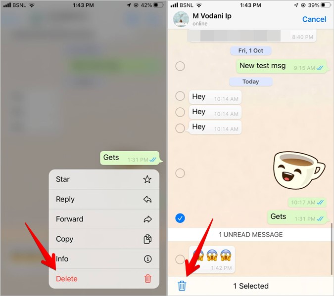 WhatsApp Privacy Delete Message iPhone