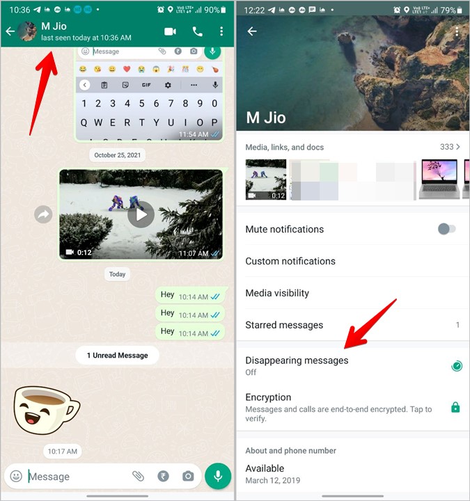 WhatsApp Privacy Disappearing Messages