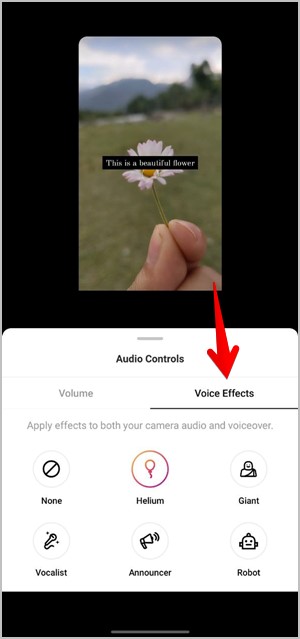 Instagram Reels Voice Effects Add Filter