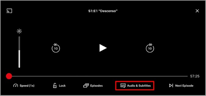 Audio and Subtitles in Netflix