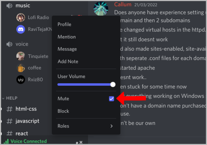 muting user on Discord voice channel