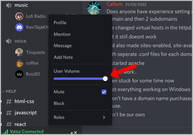 managing user volume on Discord voice channel