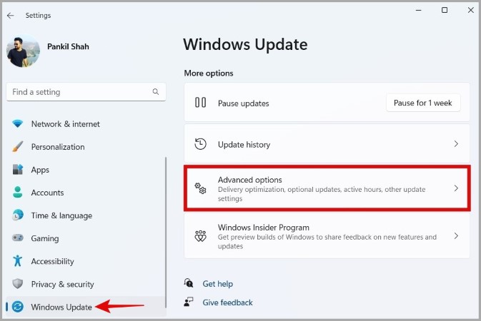 Advanced Options in Windows Update Section