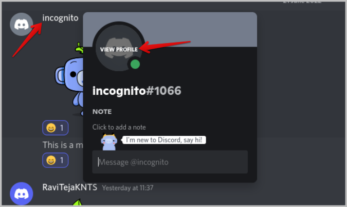Viewing profile on Discord 