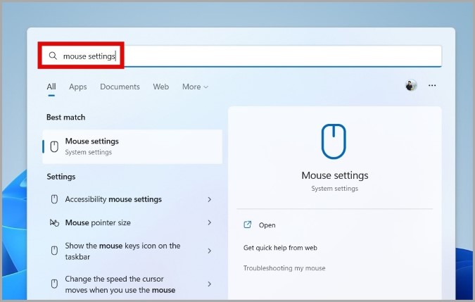 Open Mouse Settings on Windows 11