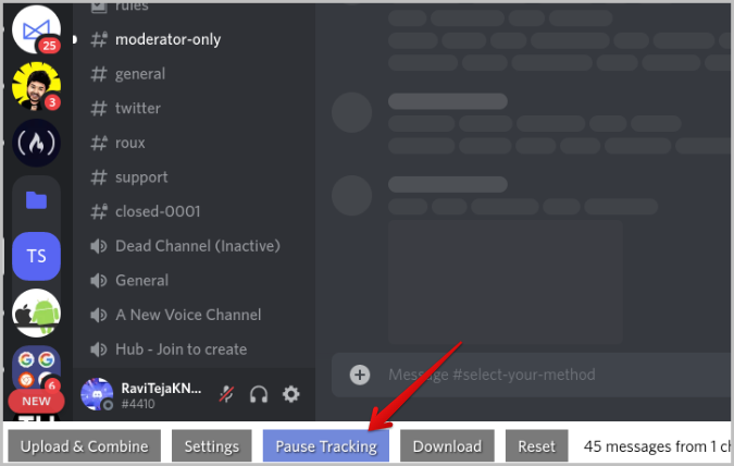 Pause tracking on Discord 