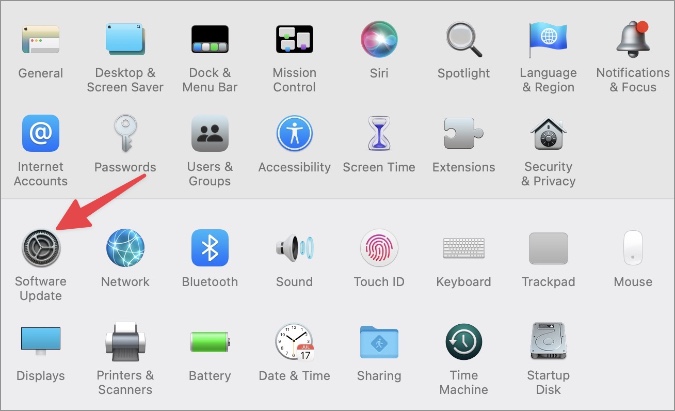software update in macOS settings