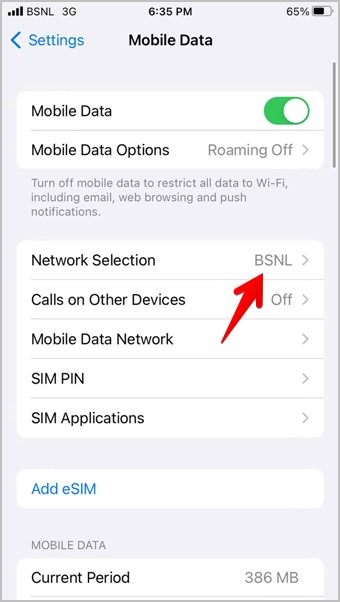 network selection in iphone settings