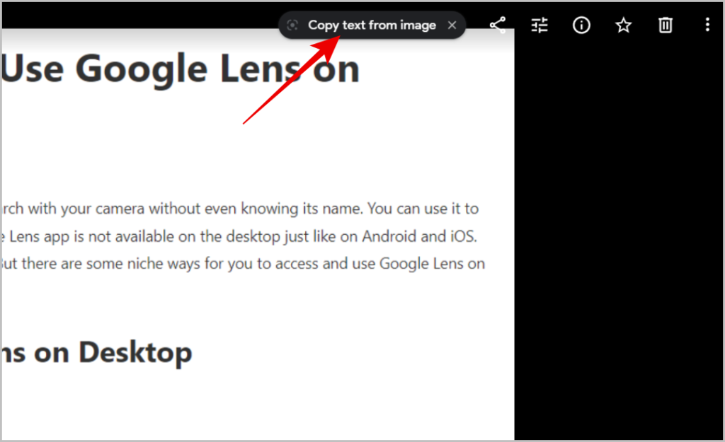 Copy text from image option on Google Photos