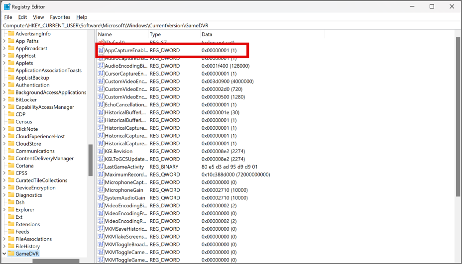 App Capture flag in Windows registry editor
