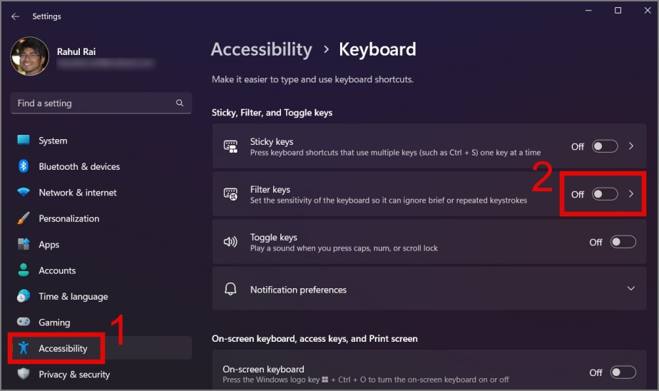 Disable Filter Keys to fix keyboard issue on Windows