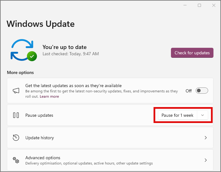 pausing updates in Windows update settings