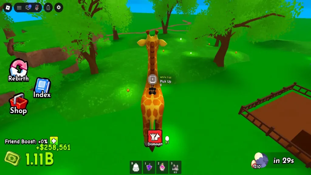 Ride a Pet Giraffe Pets