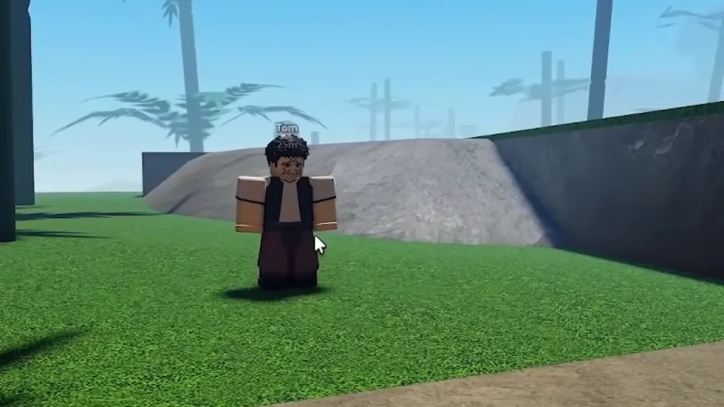 tom slayers 2